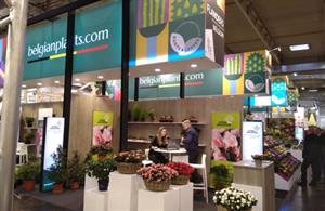 VLAM at IPM